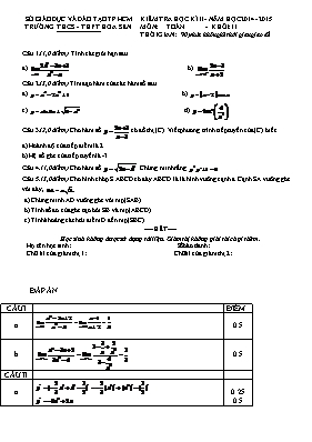 Kiểm tra học kì II Toán - Khối 11